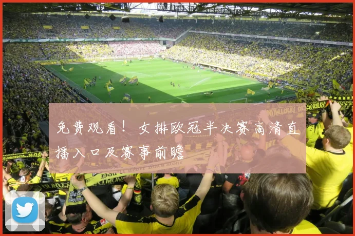 免费观看！女排欧冠半决赛高清直播入口及赛事前瞻