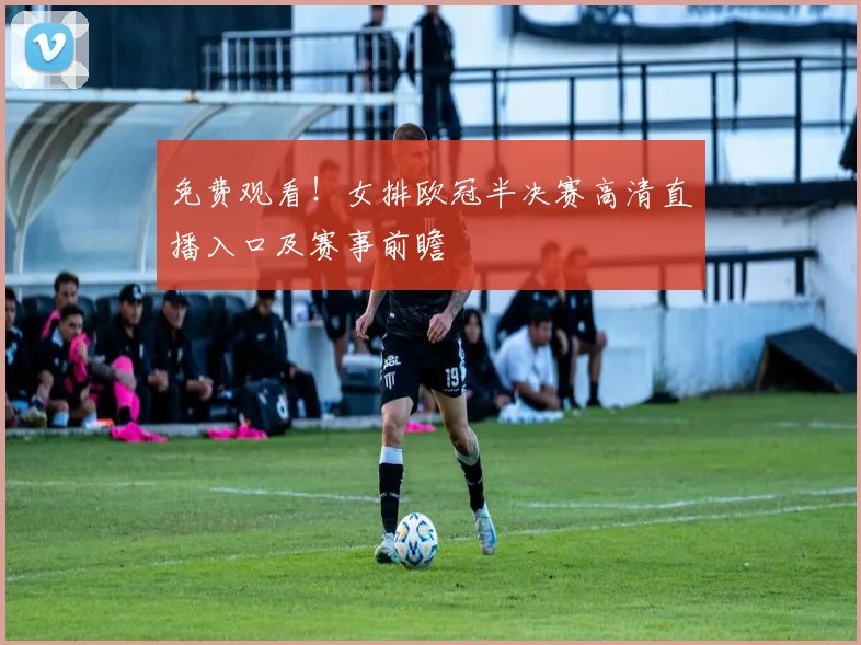 免费观看！女排欧冠半决赛高清直播入口及赛事前瞻